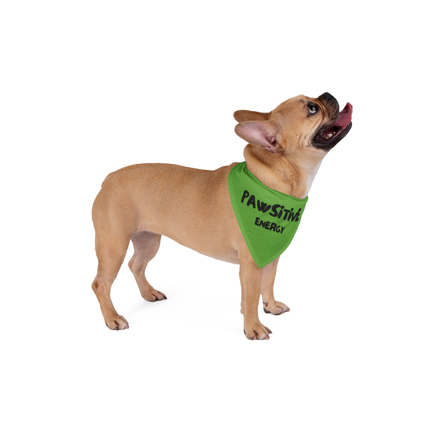 Pet Bandana - PAWSITIVE ENERGY (green)