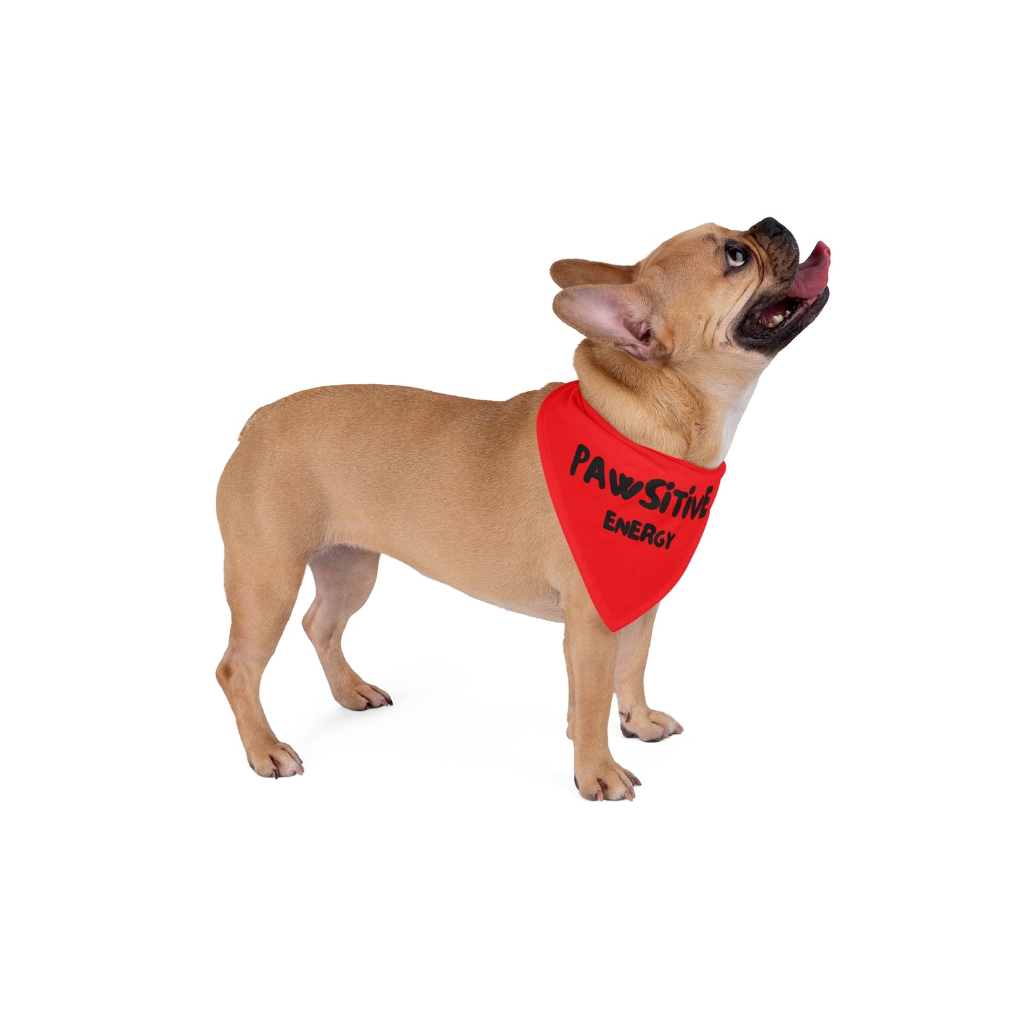 Pet Bandana - PAWSITIVE ENERGY (red)