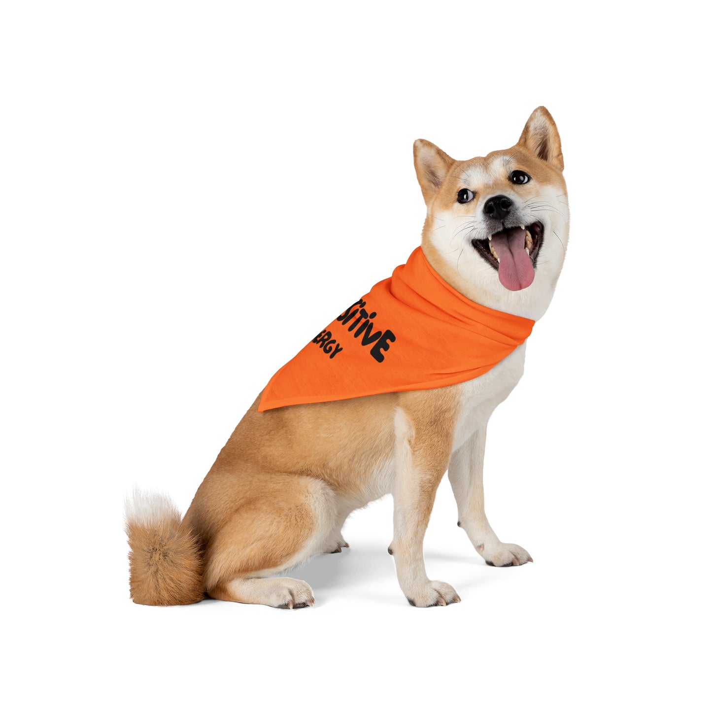 Pet Bandana - PAWSITIVE ENERGY (orange)