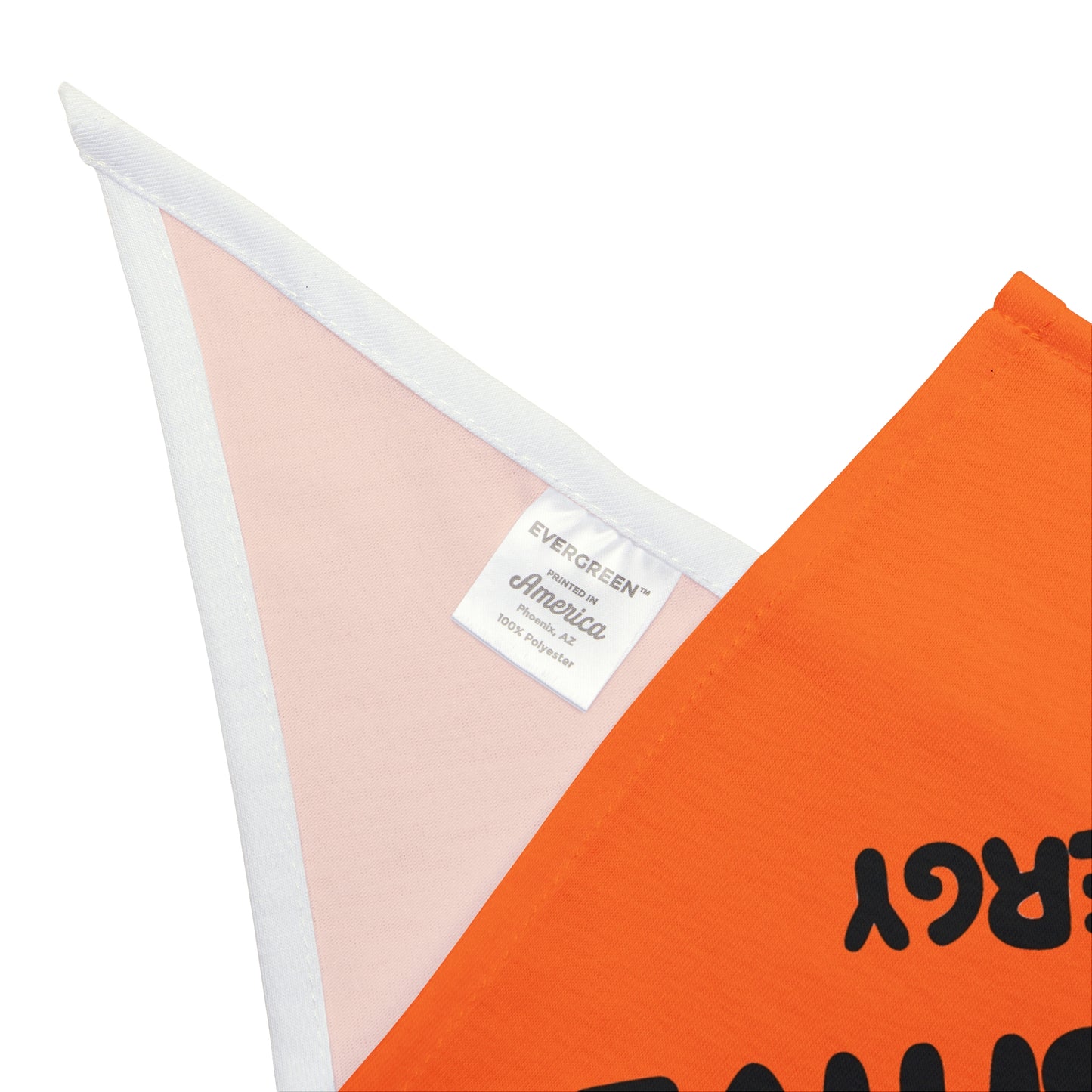 Pet Bandana - PAWSITIVE ENERGY (orange)