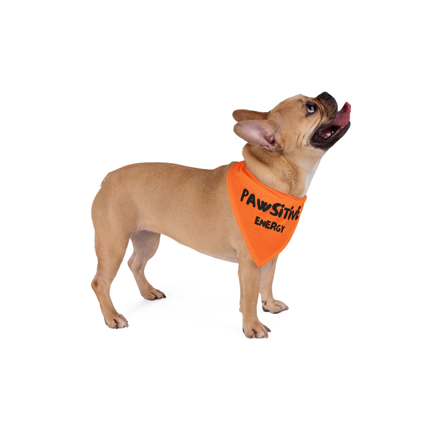 Pet Bandana - PAWSITIVE ENERGY (orange)