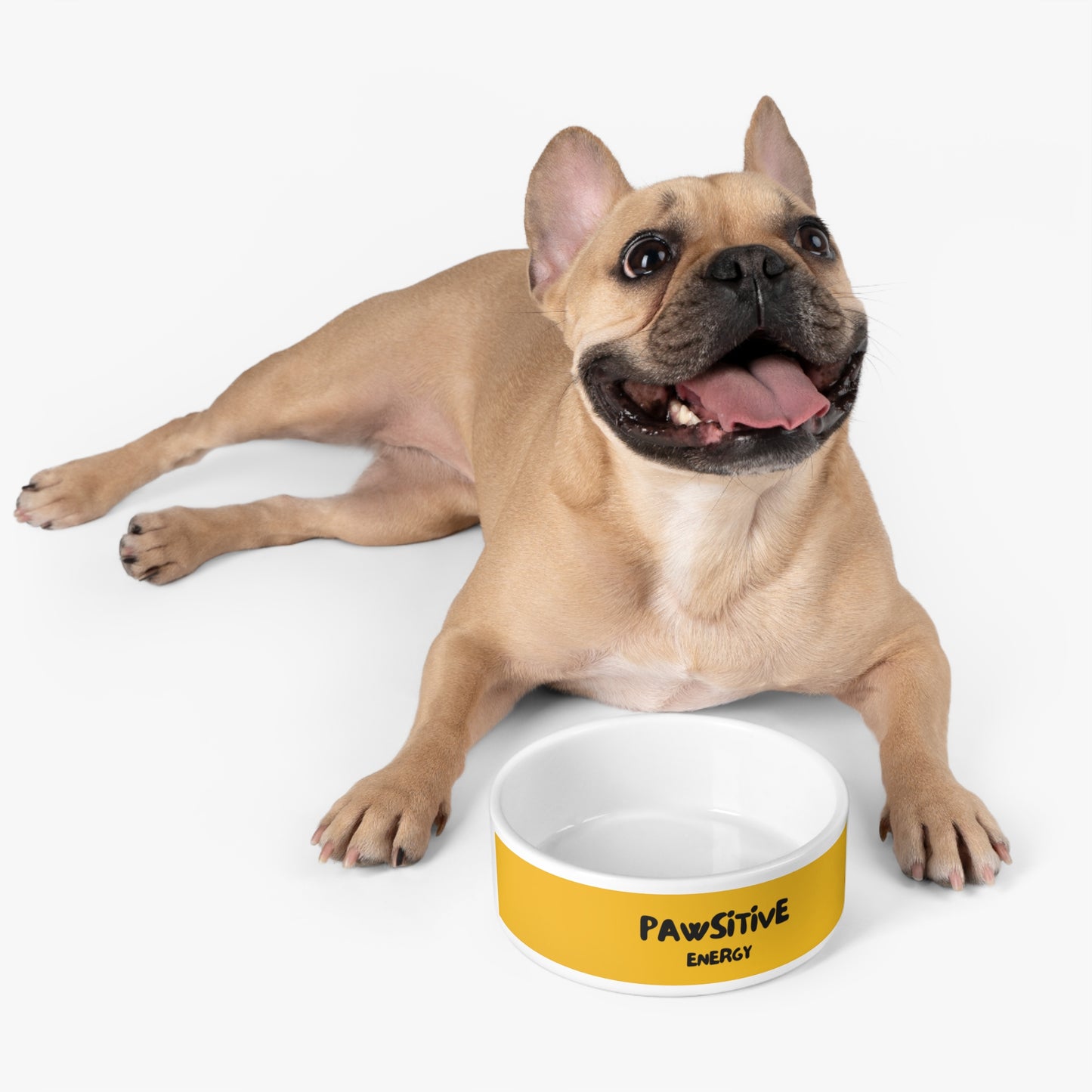 Pet Bowl - PAWSITIVE ENERGY