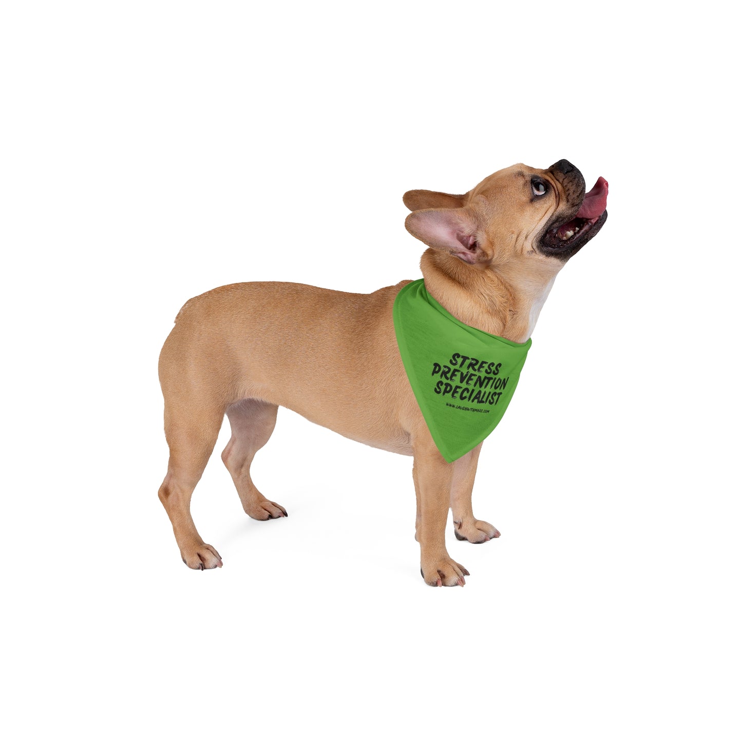 Pet Bandana - STRESS PREVENTION SPECIALIST (green)